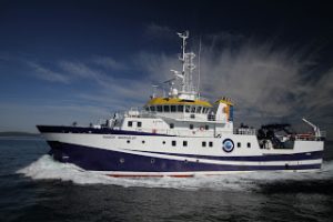 Ramón Margalef gemelo