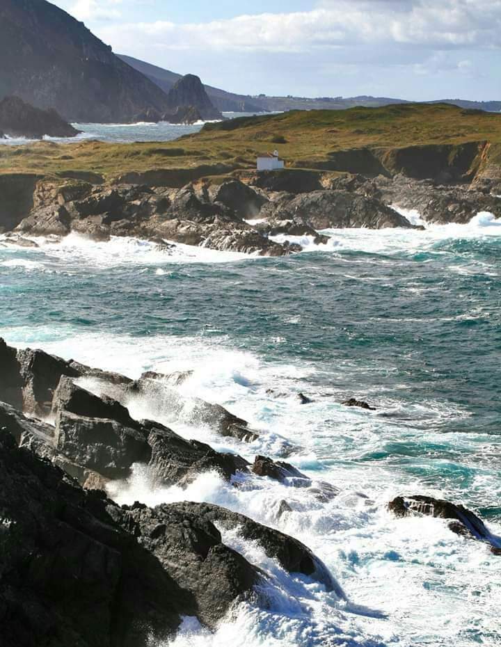 La energía de las olas: del Pelamis al Penguin