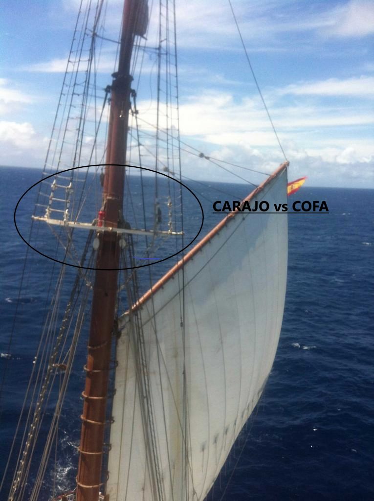 Figura 7: Cofa vs Carajo (Fuente: autor)