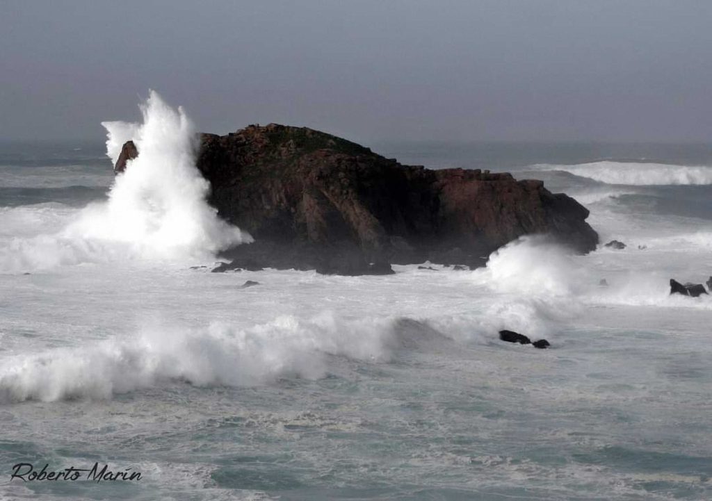 Vaca autopista visión La energía de las olas: del Pelamis al Penguin – Fundación Exponav en Ferrol